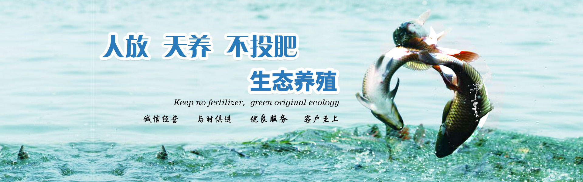 胖頭魚(yú)批發(fā) 胖頭魚(yú)批發(fā)